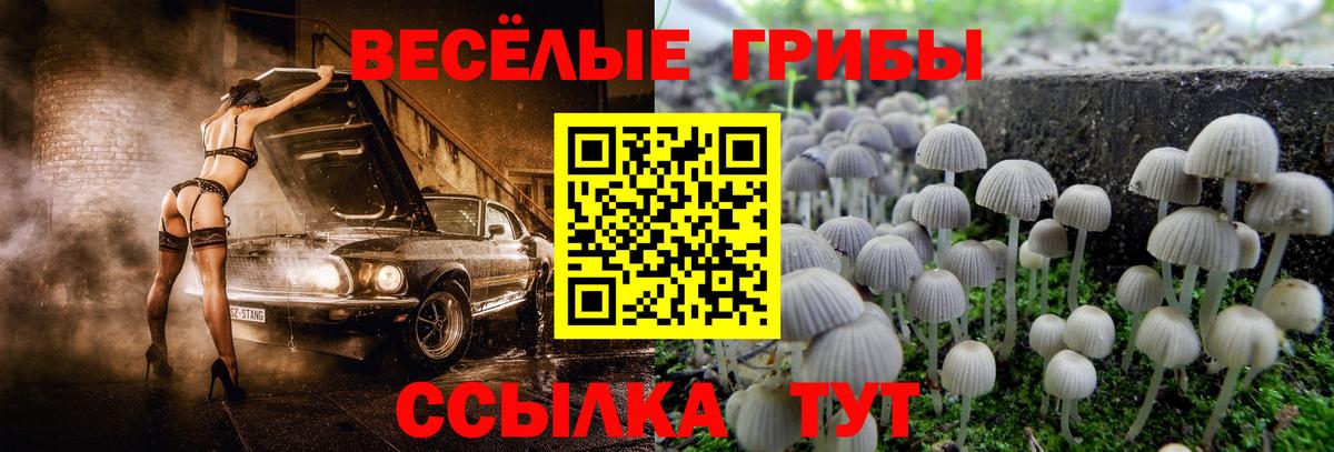 Галлюциногенные грибы мицелий  наркота  Буйнакск  Псилоцибиновые грибы прущие грибы  Вход с VPN 